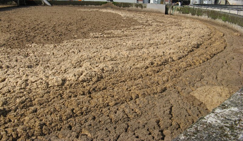 Blähschlamm, Schwimmschlamm