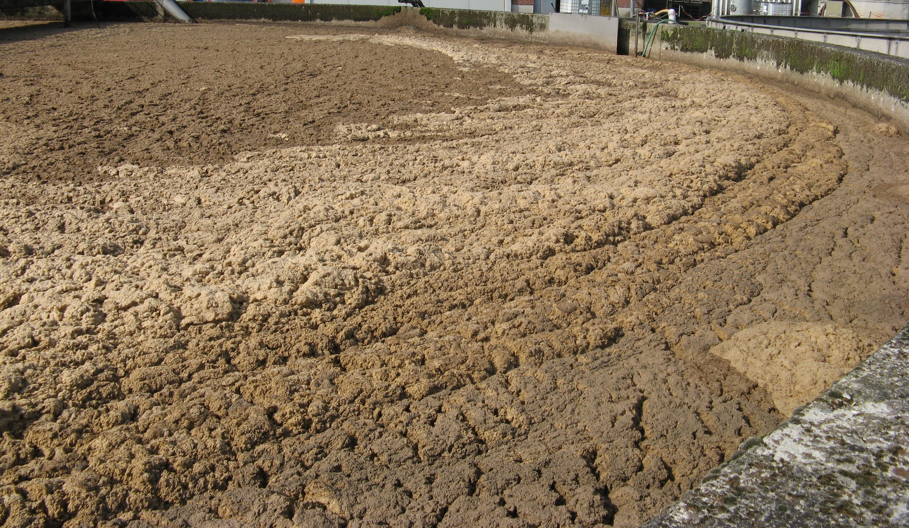 Bild FW-AWT-Dolomit-Juni-09-01-W.jpg